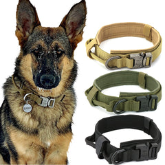 Jeeper's Keepers Heavy-Duty Dog Collar - Durable Nylon, Quick-Release Buckle
