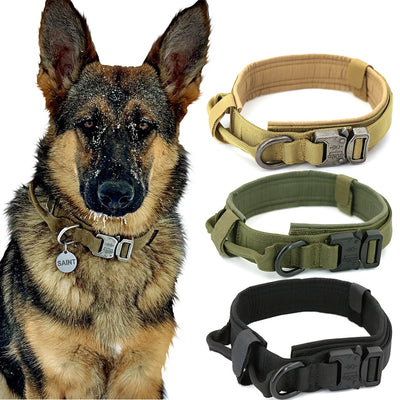 Jeeper's Keepers Heavy-Duty Dog Collar - Durable Nylon, Quick-Release Buckle