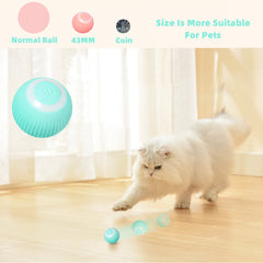 Jeeper's Keepers Smart Cat Ball Toys - Interactive Pet Ball for Indoor Fun