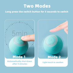 Jeeper's Keepers Smart Cat Ball Toys - Interactive Pet Ball for Indoor Fun